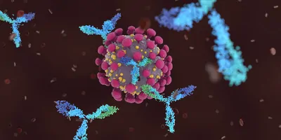Computer-generated imagery of antibodies attacking COVID-19 