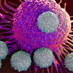 Illustration of T cells attacking cancer cell 
