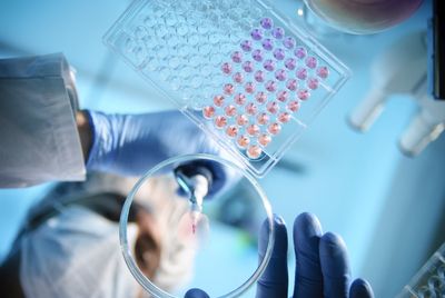 Photograph of a preclinical researcher loading light orange-colored cell samples onto a petri dish with a micropipette.