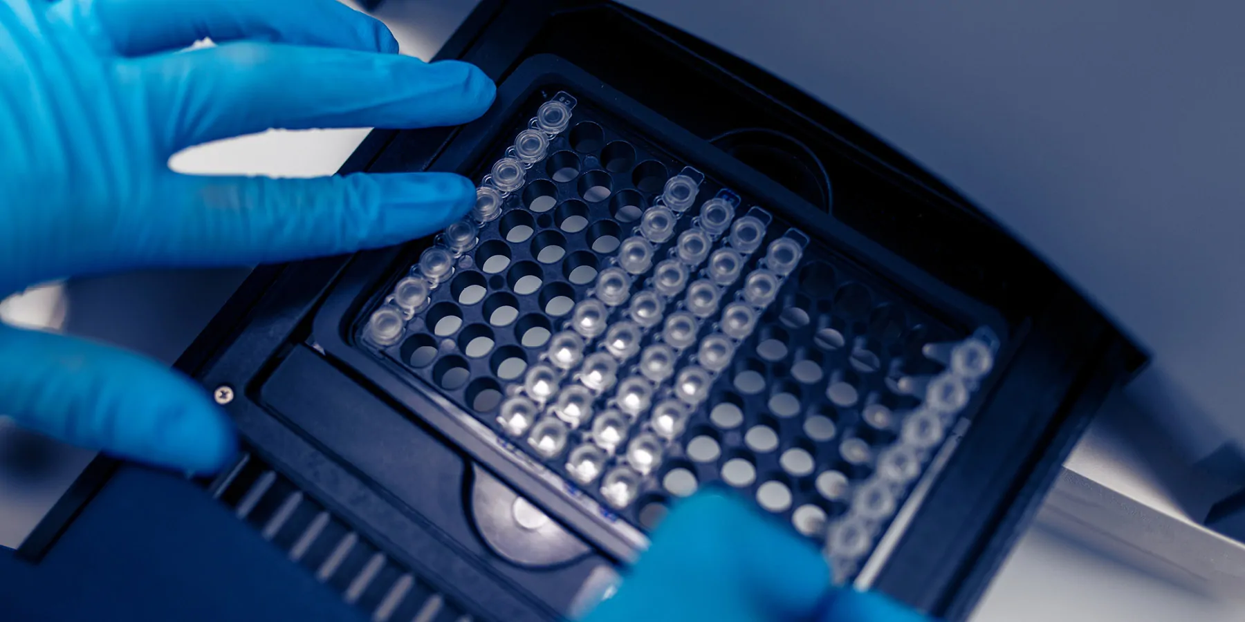 A technician with gloved hands puts a test 96-well plate into a real-time PCR machine