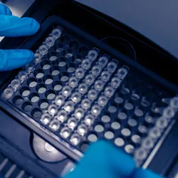 A technician with gloved hands puts a test 96-well plate into a real-time PCR machine