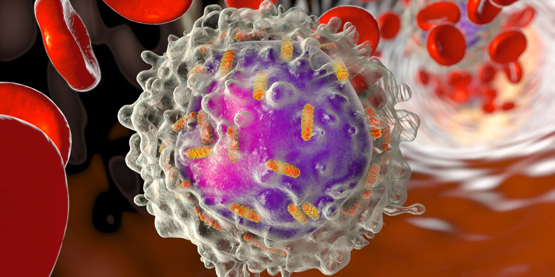 Leucocyte with mitochondria, 3D illustration against a background of red blood cells in circulation.