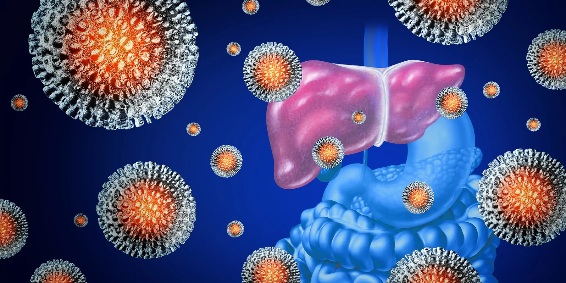 3D elements showing viruses on a human liver as a medical illustration of a viral infection