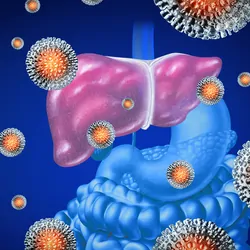 3D elements showing viruses on a human liver as a medical illustration of a viral infection