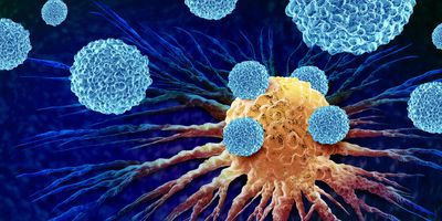 Graphic illustration of Leukocytes Attacking Cancer cell