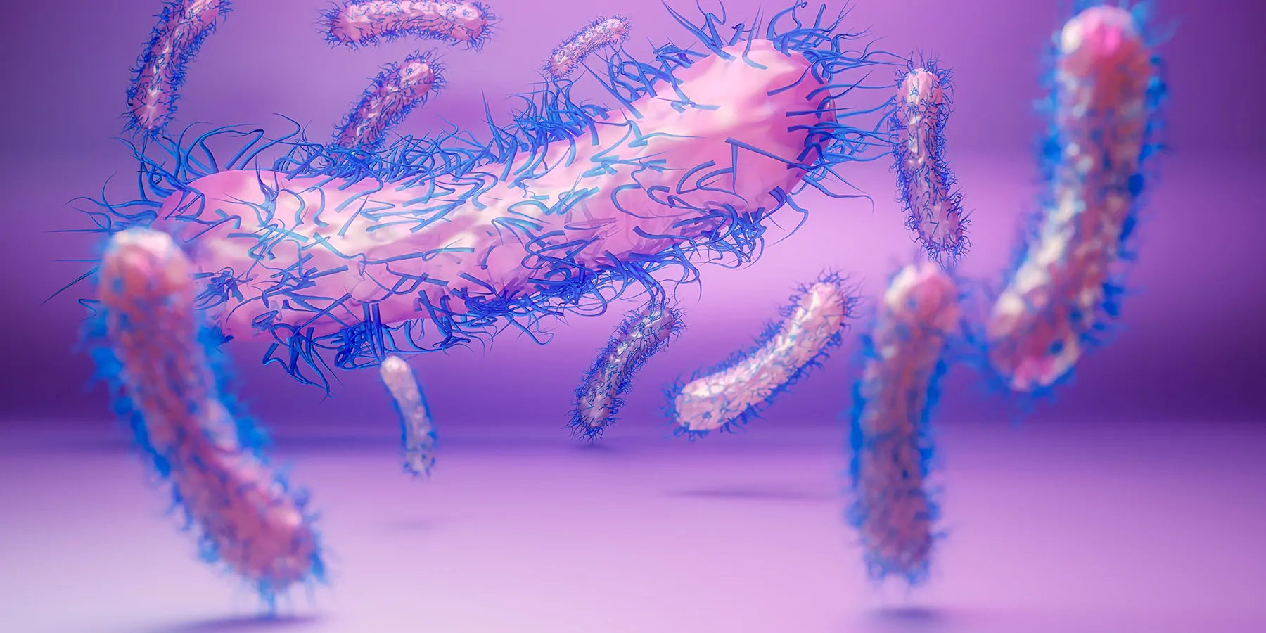 Extensively DrugResistant Shigella Strains on the Rise in France