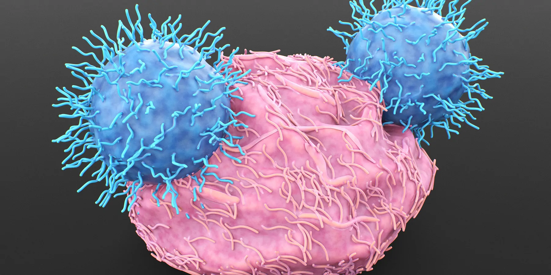 Graphical illustration of CAR T-cell immunotherapy
