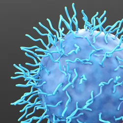 Graphical illustration of CAR T-cell immunotherapy