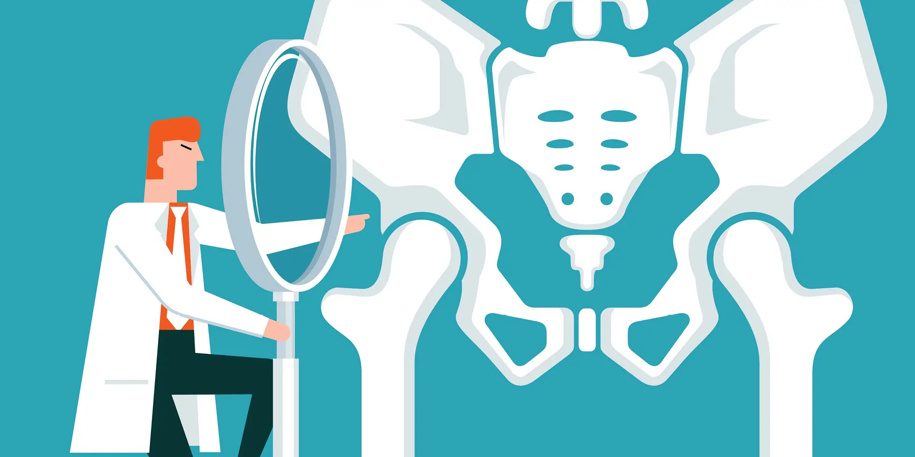 Vector illustration of a clinician using a magnifying lens to inspect the human skeletal system