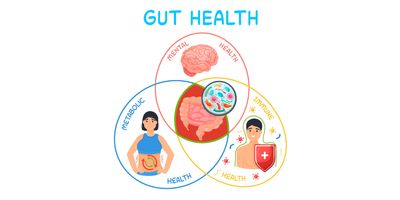 A  Medical infographic showing why gut health is important as a Venn diagram.