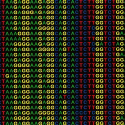 Scan of a printed DNA sequence alignment on black.