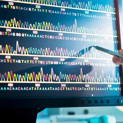 A scientist looking at a DNA sequence 