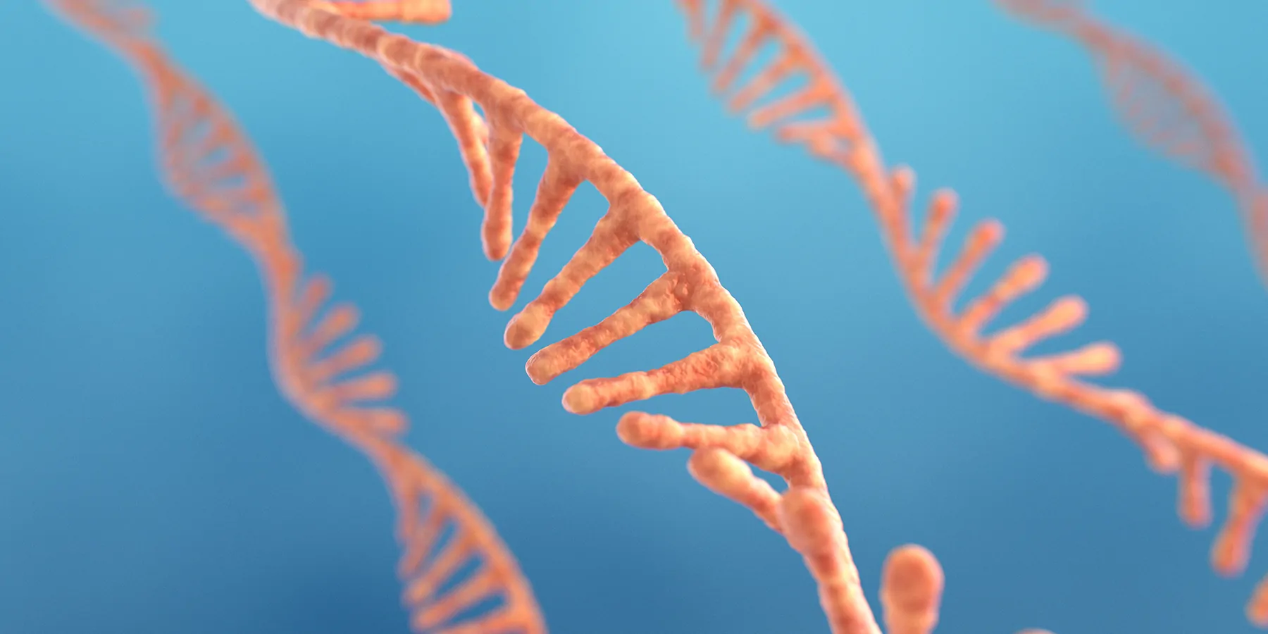 Graphic illustration of a single-strand ribonucleic acid denoting RNA research