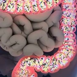 3D illustration of bacteria inside the large intestine. 