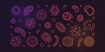 Illustration of microbial agents that contribute to antimicrobial resistance.
