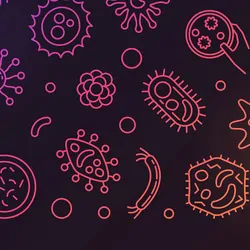 Illustration of microbial agents that contribute to antimicrobial resistance.