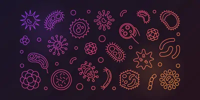 Illustration of microbial agents that contribute to antimicrobial resistance.