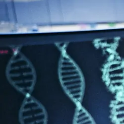A female scientist examines DNA models in genetics research laboratory.