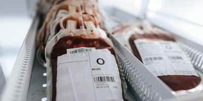 Photo of a bag of red blood cells in a blood bank ready for transfusion.
