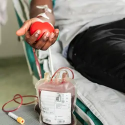 The hand of a blood donor squeezing a medical rubber heart