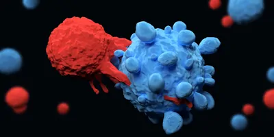 3D-render of a T cell attacking a cancer cell