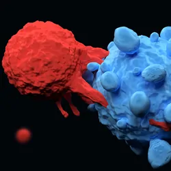3D-render of a T cell attacking a cancer cell