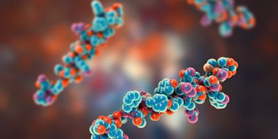 3D illustration of a peptide.