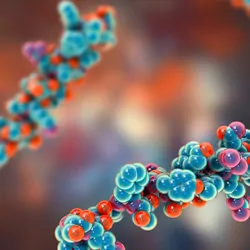 3D illustration of a peptide.
