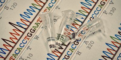 Three microtubes rest on a chromatogram with a DNA sequence.