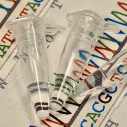 Three microtubes rest on a chromatogram with a DNA sequence.