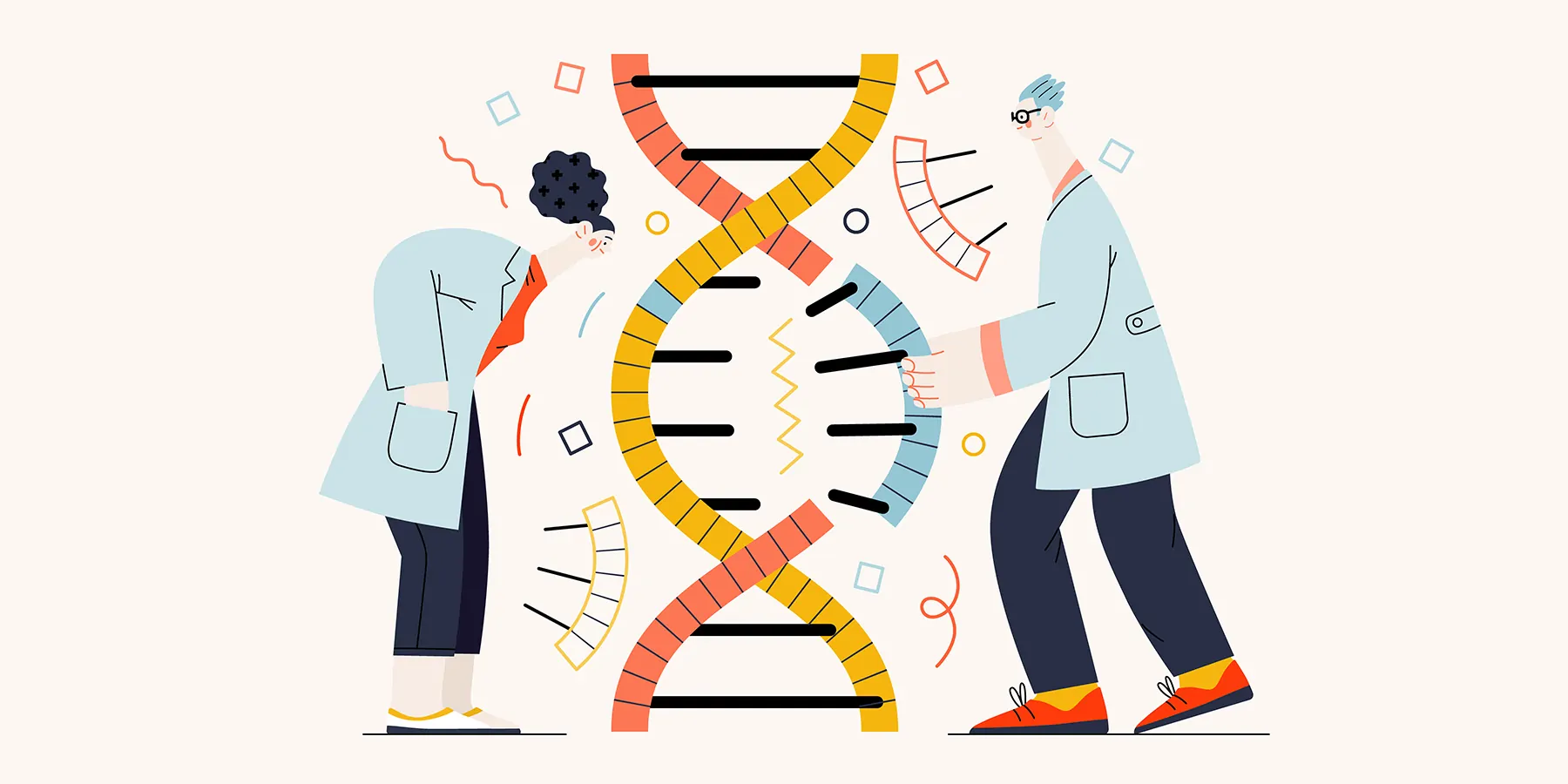 Illustration of two people in lab coats standing and poring over either side of a double-helix strand with the lab personnel on the right grasping at a fragment of the DNA, thus representing the DNA fragmentation process.