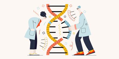 Illustration of two people in lab coats standing and poring over either side of a double-helix strand with the lab personnel on the right grasping at a fragment of the DNA, thus representing the DNA fragmentation process.