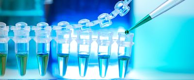 Green and blue liquid in plastic microtubes being filled with a pipette