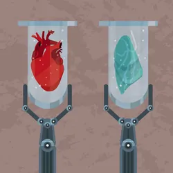Test tubes with heart, kidney, lung and liver