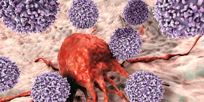 3D illustration of T-lymphocytes attacking cancer cell.