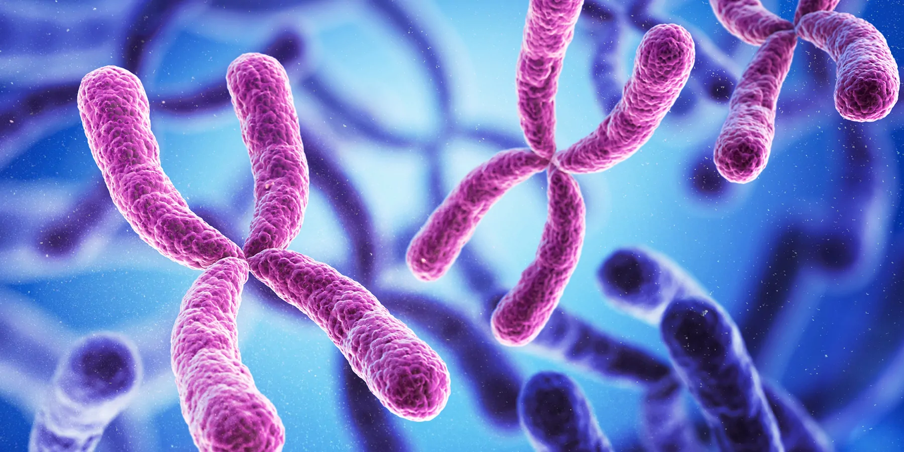 3D illustration of chromosomes.