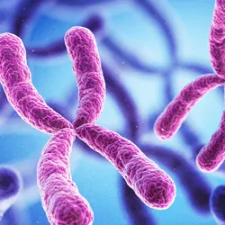 3D illustration of chromosomes.