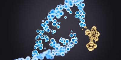 3D illustration of a DNA double helix model interacting with a molecule.