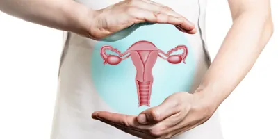 Image of a woman in a white dress holds a 3D model of the reproductive system of women above her hands.