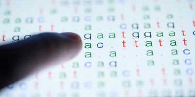 Color-coded DNA sequence on touch pad illuminated by light