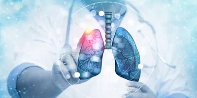 A clinician touching a digital rendering of human lungs on blurred background