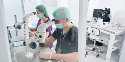 A man and a woman work in a modern laboratory around special equipment and test tubes