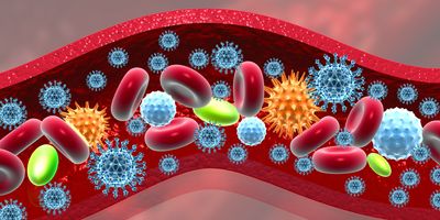 3D illustration of virus in bloodstream.
