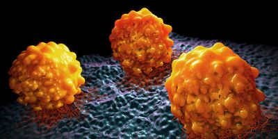 3D illustration of tumor cells