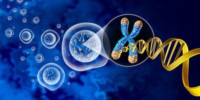 A 3D illustration of chromosome and cell nucleus with telomere and DNA representing gene therapy or cytogenetics.