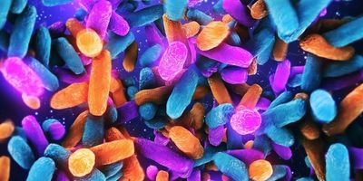 multicolored bacteria (pink, orange, blue), oblong shape, float in space.