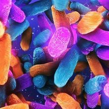 multicolored bacteria (pink, orange, blue), oblong shape, float in space.