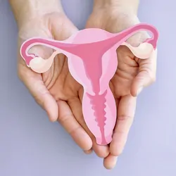 3D illustration of uterine cancer and endometrial malignant tumor.