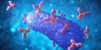 3D illustration of antibodies attacking a microbe.