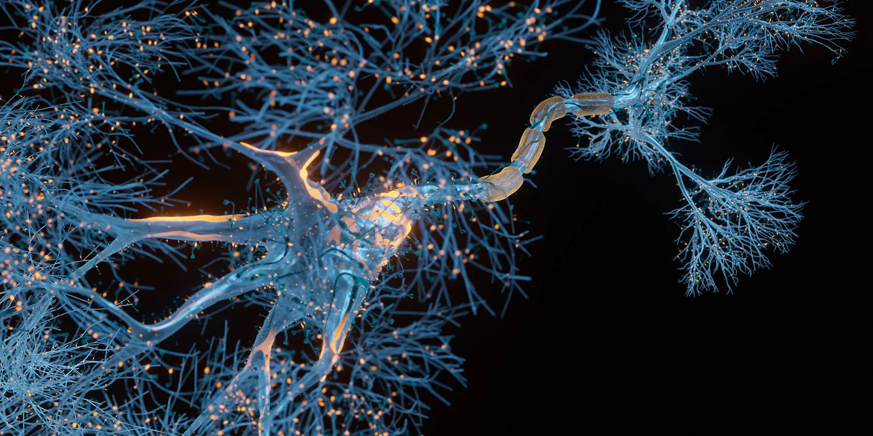 3D rendered image of Neuron cell close-up view